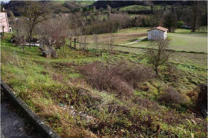 immobile terreno all'asta in Frazione Pantana - Via Foglia snc - 61045 Pergola (PU) - 4