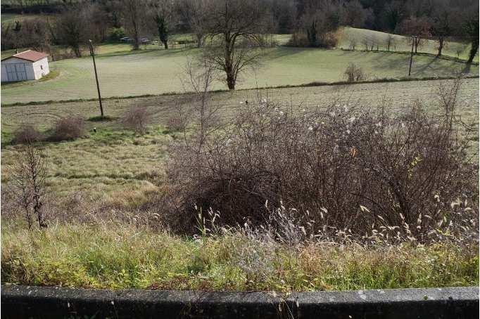 immobile terreno all'asta in Frazione Pantana - Via Foglia snc - 61045 Pergola (PU) - 1