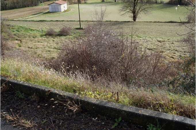 immobile terreno all'asta in Frazione Pantana - Via Foglia snc - 61045 Pergola (PU) - 3
