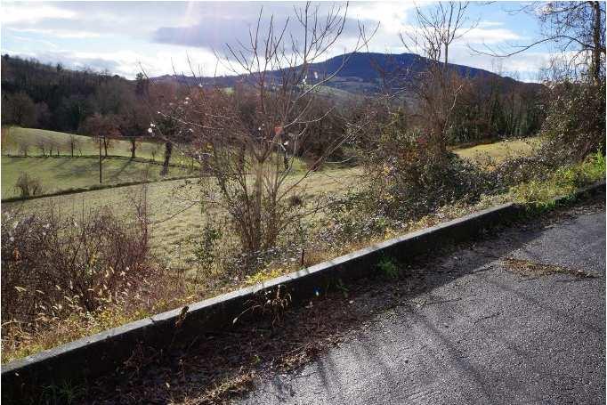 immobile terreno all'asta in Frazione Pantana - Via Foglia snc - 61045 Pergola (PU) - 2