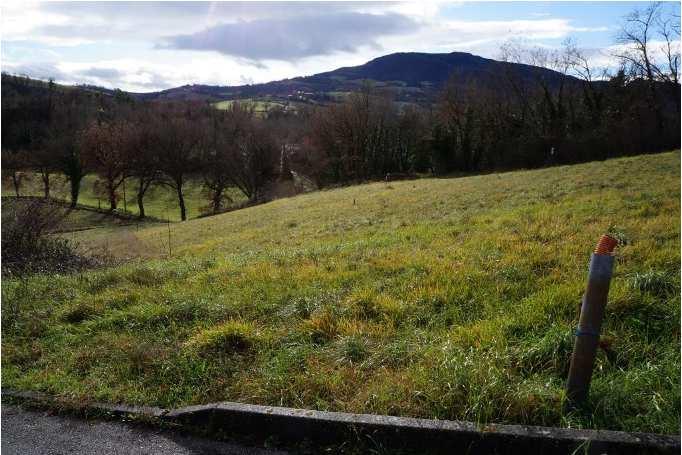immobile terreno all'asta in Frazione Pantana - Via Foglia snc - 61045 Pergola (PU) - 4