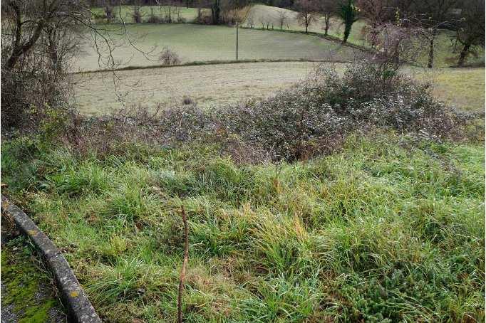 immobile terreno all'asta in Frazione Pantana - Via Foglia snc - 61045 Pergola (PU) - 5