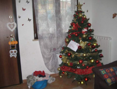 immobile appartamento all'asta in via Tito Livio 31/33 Guidonia Montecelio (RM) - 1