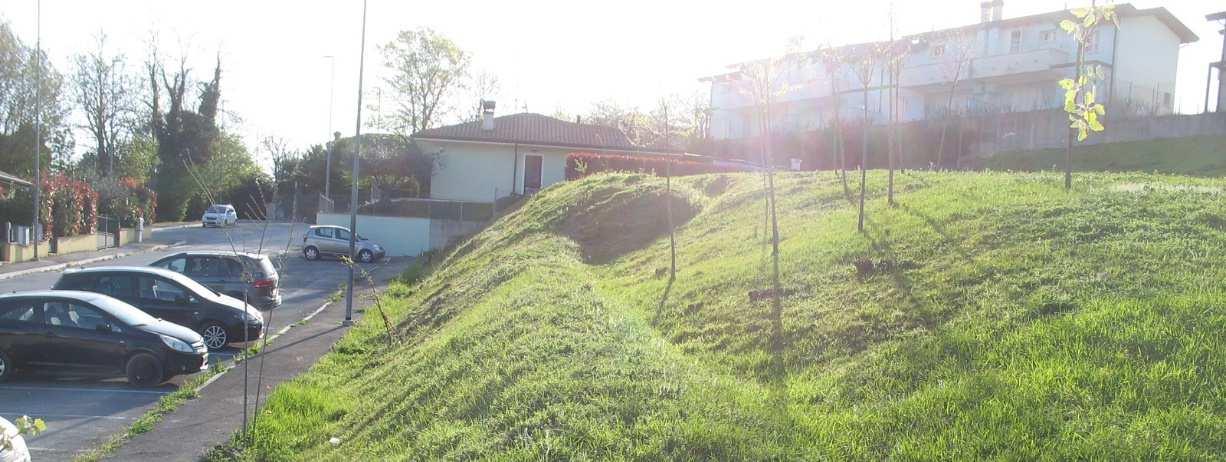 immobile terreno all'asta in VIA DEI CILIEGI - 47020 Roncofreddo (FC) - 2