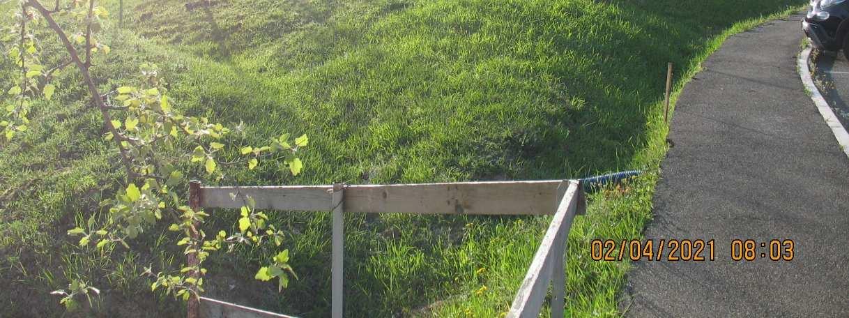 immobile terreno all'asta in VIA DEI CILIEGI - 47020 Roncofreddo (FC) - 3