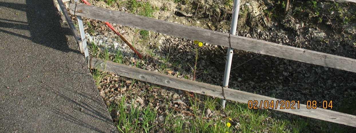 immobile terreno all'asta in VIA DEI CILIEGI - 47020 Roncofreddo (FC) - 5
