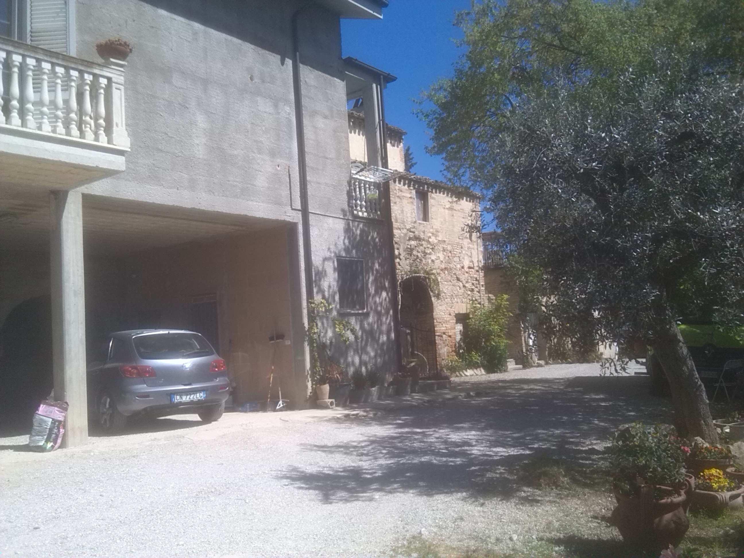 immobile terreno all'asta in CONTRADA MAREZI - 63061 Massignano (AP) - 1