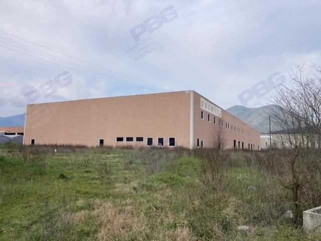 immobile attivita commerciale all'asta in Contrada Cese - 82030 Puglianello (BN) - 5