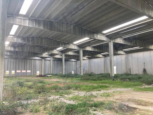 immobile attivita commerciale all'asta in Contrada Cese - 82030 Puglianello (BN) - 2