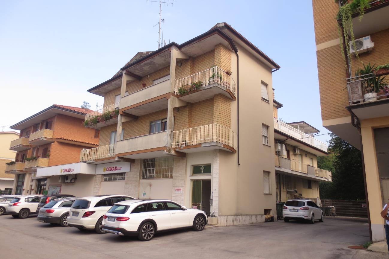 immobile appartamento all'asta in via Antonio Segni n17 - 63844 Grottazzolina (FM) - 4