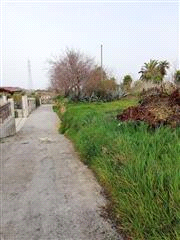 immobile terreno all'asta in contrada Grazia - 98074 Naso (ME) - 1