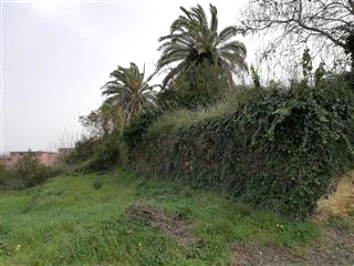 immobile terreno all'asta in contrada Grazia - 98074 Naso (ME) - 2