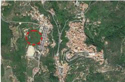 immobile terreno all'asta in contrada Grazia - 98074 Naso (ME) - 3