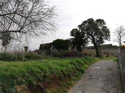 immobile terreno all'asta in contrada Grazia - 98074 Naso (ME) - 4