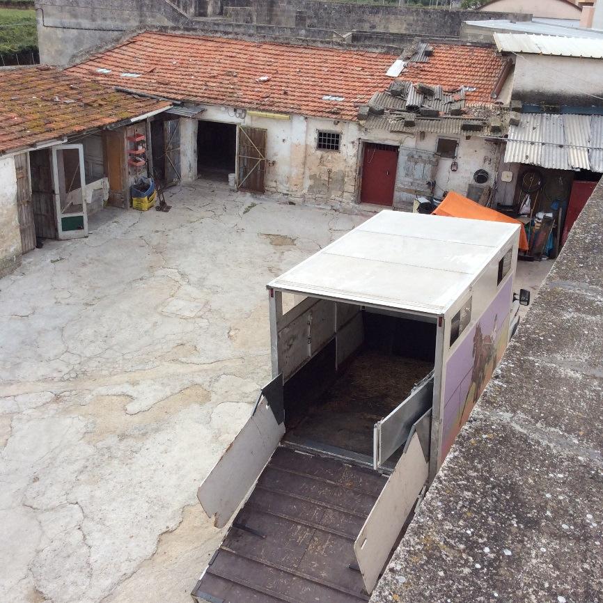 immobile attivita commerciale all'asta in Via Ruvo o Cda Trapizzo - 76011 Bisceglie (BT) - 1