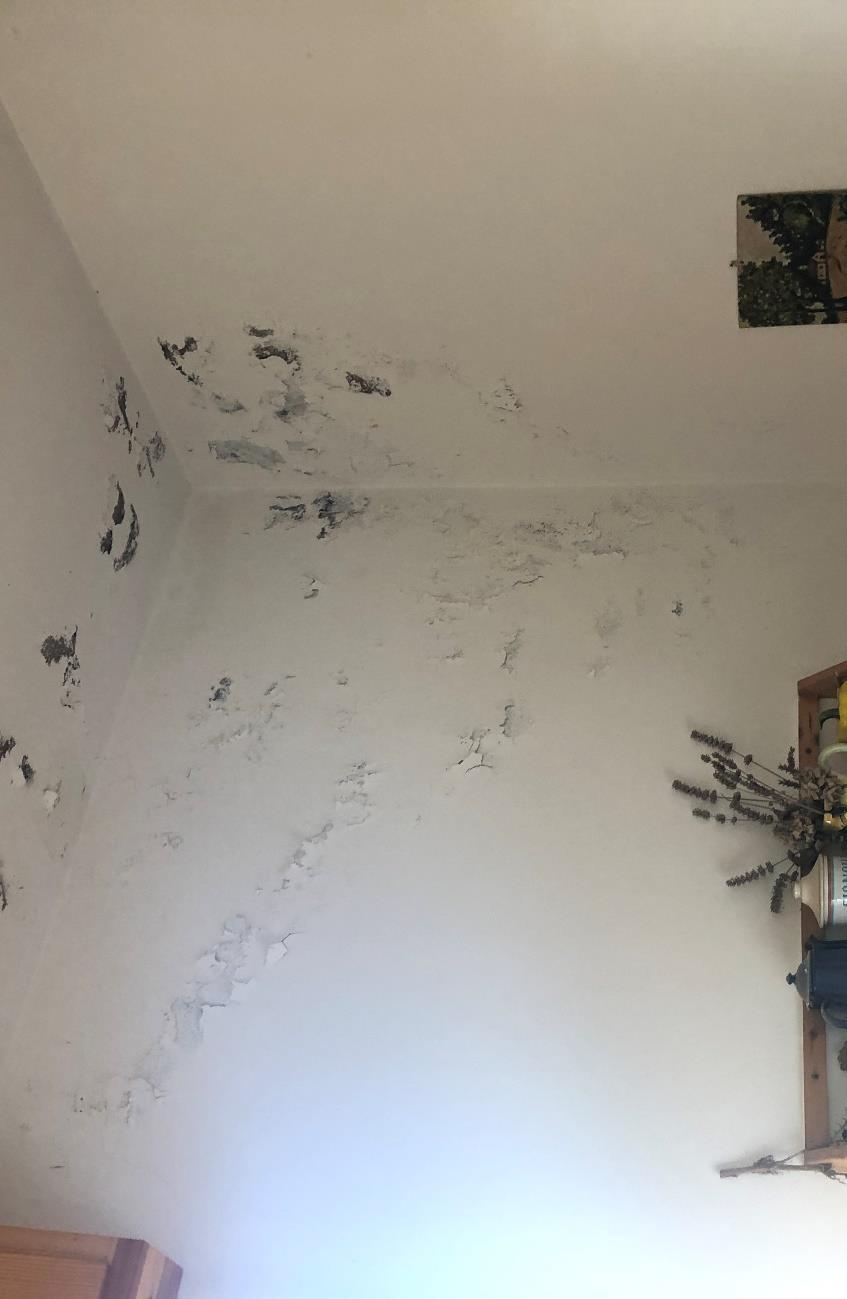 immobile appartamento all'asta in via Basabue, 11 – Tolè Vergato (BO) - 3