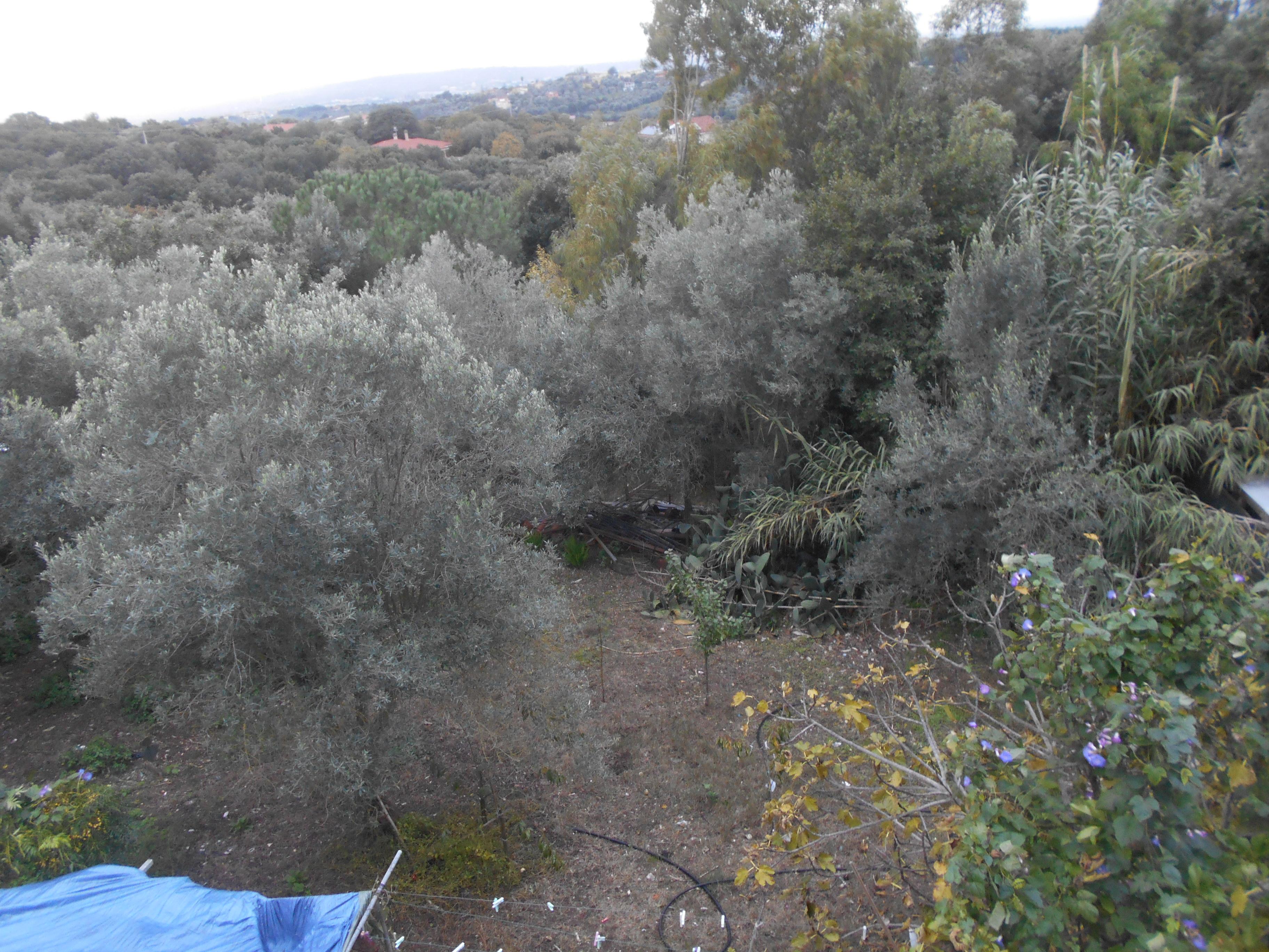 immobile appartamento all'asta in STRADA VICINALE BADDIMANNA-FILIGHEDDU N 153 - 07100 Sassari (SS) - 3