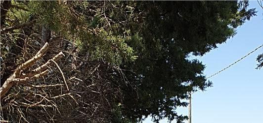 immobile villa all'asta in Via San Felice km 9,155 - 04019 Terracina (LT) - 1