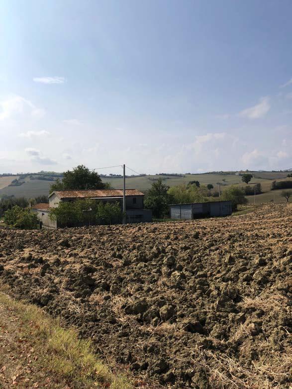immobile appartamento all'asta in Localita' San Cesareo 42 - 61032 Fano (PU) - 1