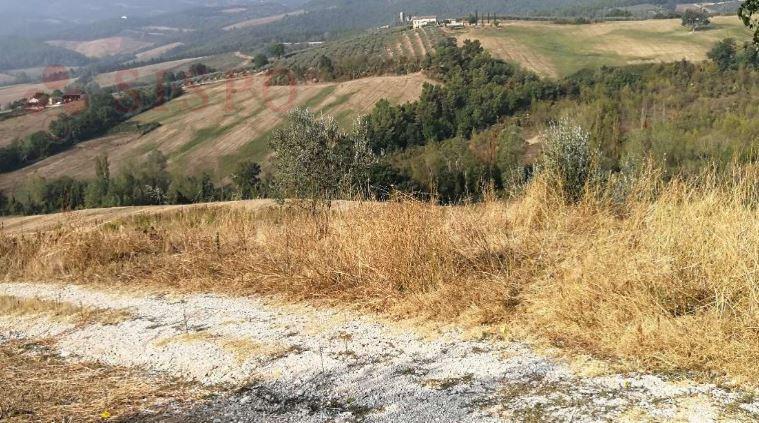immobile terreno all'asta in FRAZIONE TERZO LA PIEVE - LOCFRANCOCCI - 06049 Spoleto (PG) - 1