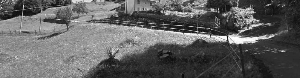 immobile appartamento all'asta in Frazione Canai n 42 - 32020 Borgo Valbelluna (BL) - 5