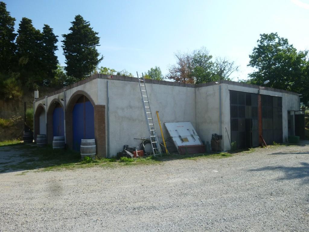 immobile terreno all'asta in località Pescina Seggiano (GR) - 1