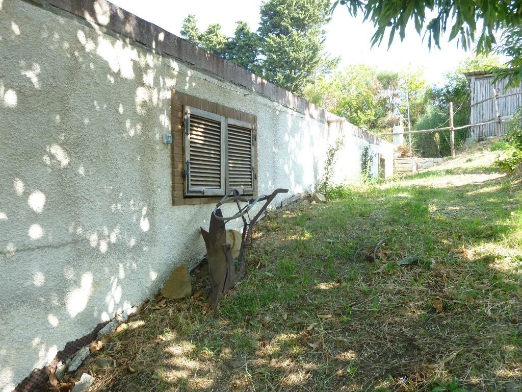 immobile terreno all'asta in località Pescina Seggiano (GR) - 3