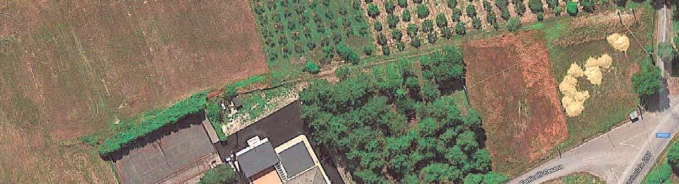 immobile attivita commerciale all'asta in Cda Cesana - 66050 Palmoli (CH) - 4