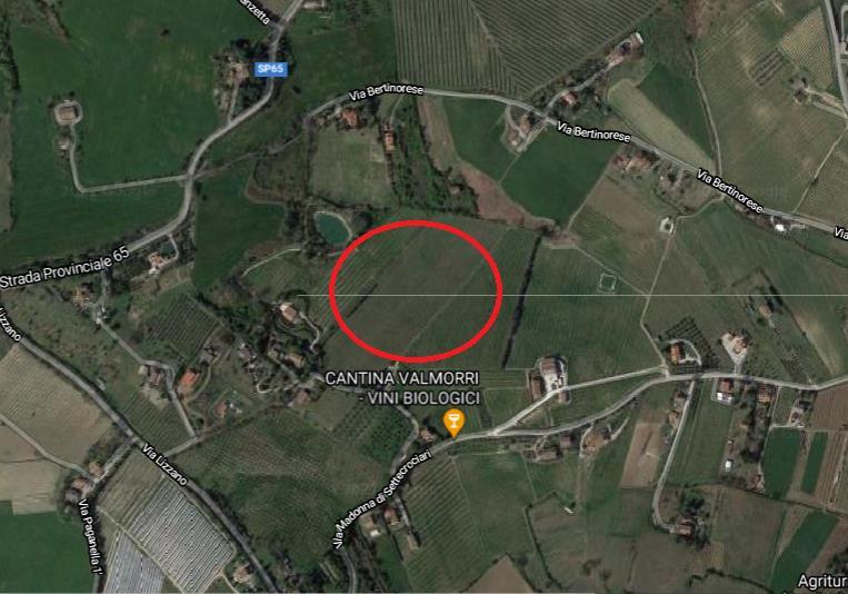 immobile terreno all'asta in Via Madonna di Settecrociari - 47522 Cesena (FC) - 1