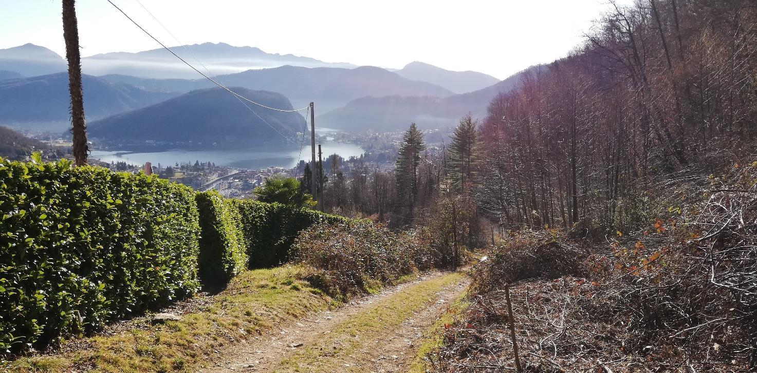 immobile magazzino all'asta in Via Viconago snc - 21031 Cadegliano-Viconago (VA) - 4
