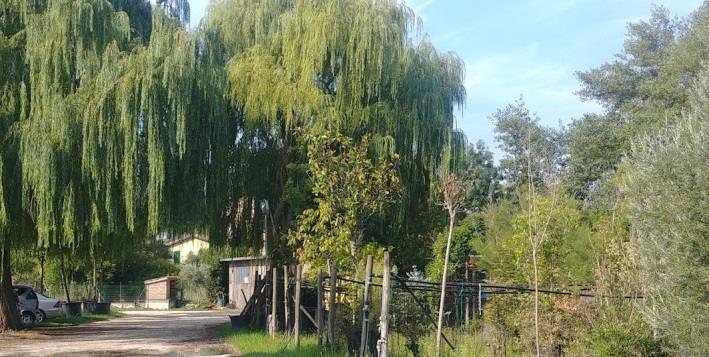 immobile terreno all'asta in Localita' MADONNA DI BAIANO SNC - 06049 Spoleto (PG) - 1