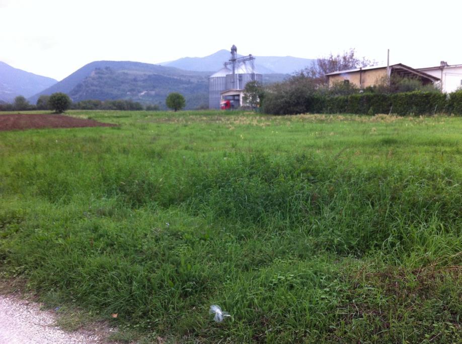 immobile terreno all'asta in CONTRADA MORICHELLA - 62026 San Ginesio (MC) - 1