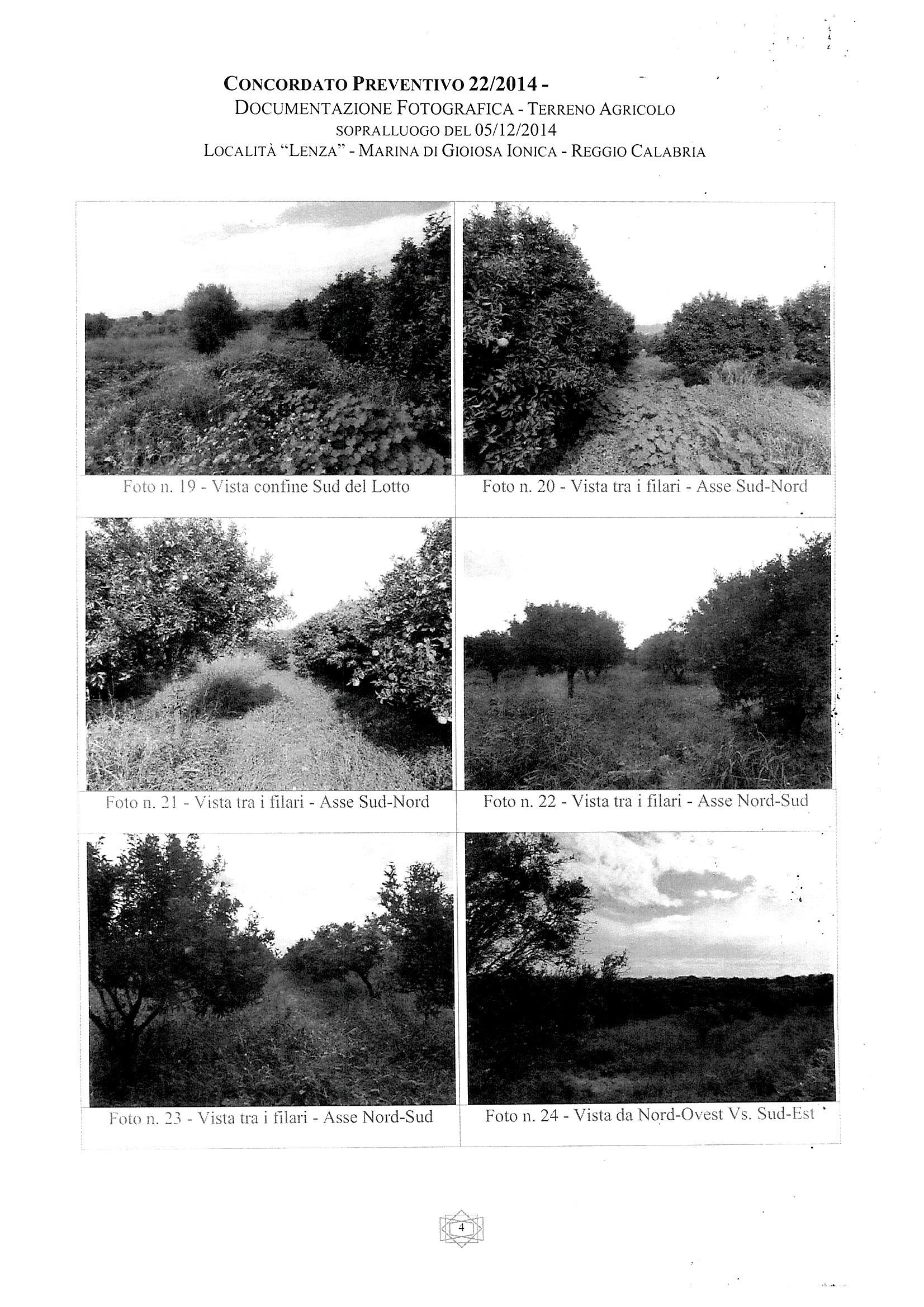 immobile terreno all'asta in Localita' Lenza Snc - 89046 Marina di Gioiosa Ionica (RC) - 4