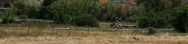 immobile terreno all'asta in LOCALITA' SAN SALVATORE - 09088 Uras (OR) - 5