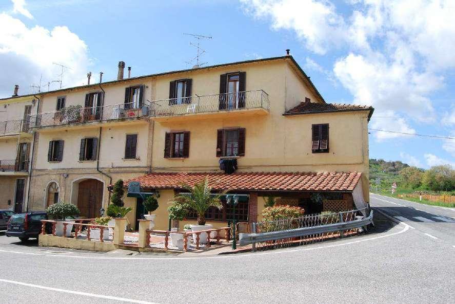 immobile attivita commerciale all'asta in LocGhirlanda SP Perolla Massa Marittima (GR) - 1