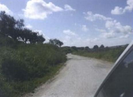 immobile terreno all'asta in Via Monte Carnevale, 402000148 Roma (RM) - 2