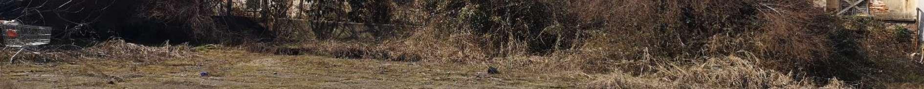 immobile rustico all'asta in Via Vaiano Valle, n 60 - 20141 Milano (MI) - 5