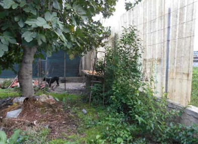 immobile appartamento all'asta in Località “Is Arenas” Elmas (CA) - 3