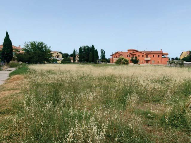 immobile terreno all'asta in Via della Tombaccia snc - 61032 Fano (PU) - 2