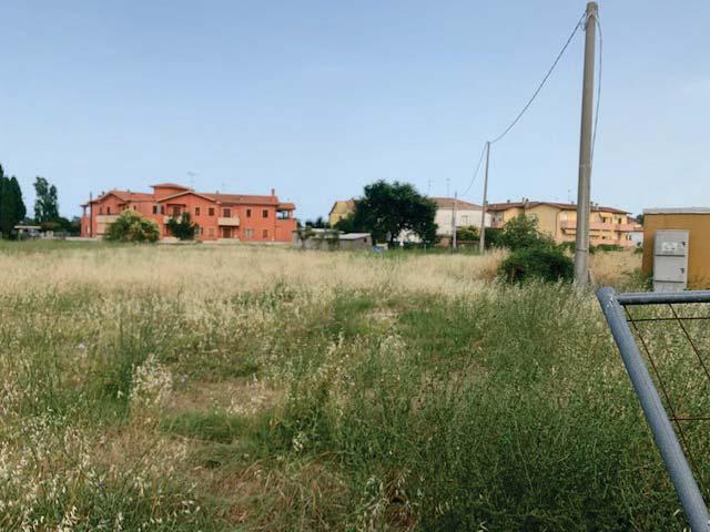 immobile terreno all'asta in Via della Tombaccia snc - 61032 Fano (PU) - 3