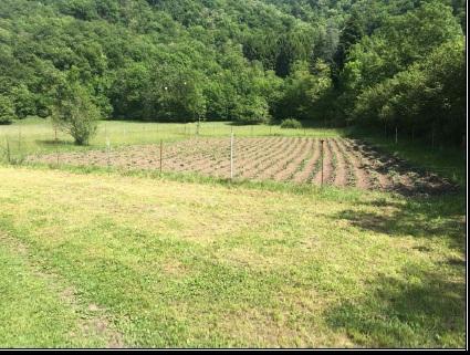 immobile terreno all'asta in Frazione Visino, Localita' Puntecc - 22039 Valbrona (CO) - 1