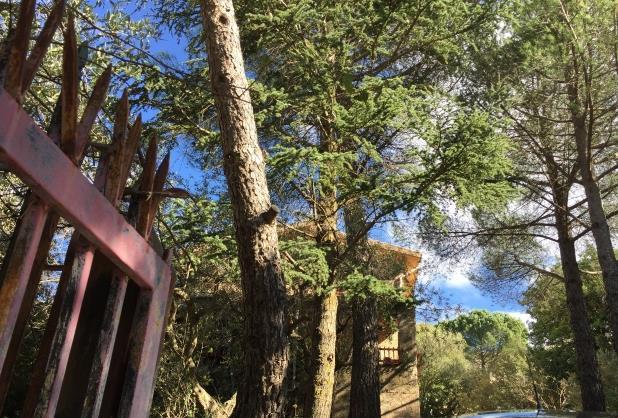 immobile appartamento all'asta in Contrada Omo Morto snc, - 90031 Belmonte Mezzagno (PA) - 2