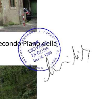 immobile appartamento all'asta in Via Dei Laghi 12 - 00074 Nemi (RM) - 3