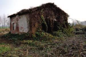 immobile rustico all'asta in località Roncolevà, via Carrare - 37060 Trevenzuolo (VR) - 5