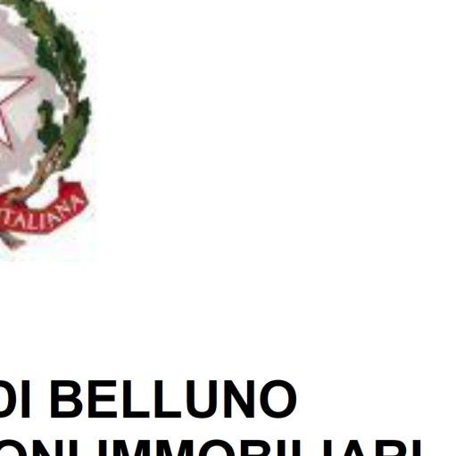immobile negozio all'asta in Via Mezzaterra - 32030 Fonzaso (BL) - 4