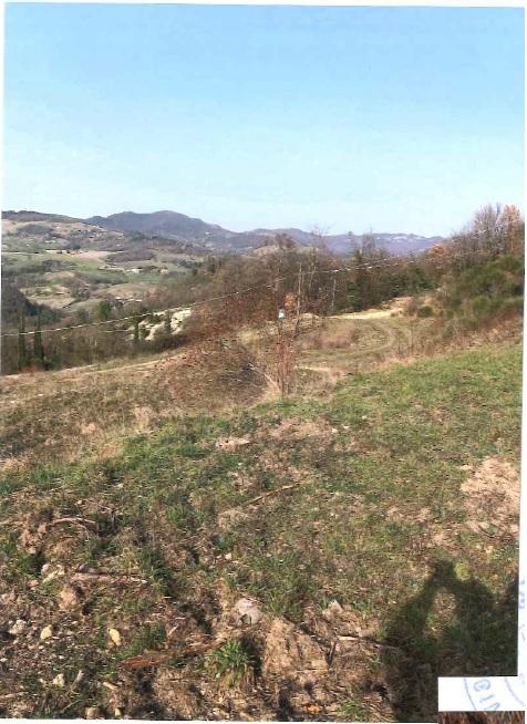 immobile terreno all'asta in Localita' Costa di Trex snc - 06081 Assisi (PG) - 4
