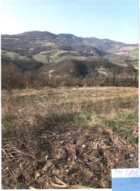 immobile terreno all'asta in Localita' Costa di Trex snc - 06081 Assisi (PG) - 3