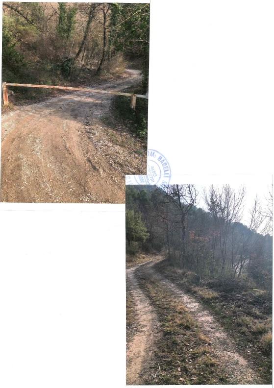 immobile terreno all'asta in Localita' Costa di Trex snc - 06081 Assisi (PG) - 1