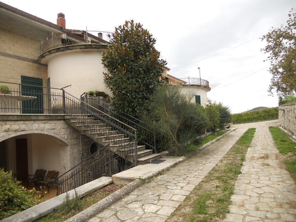 immobile terreno all'asta in contrada Cupe - 82034 San Lupo (BN) - 3