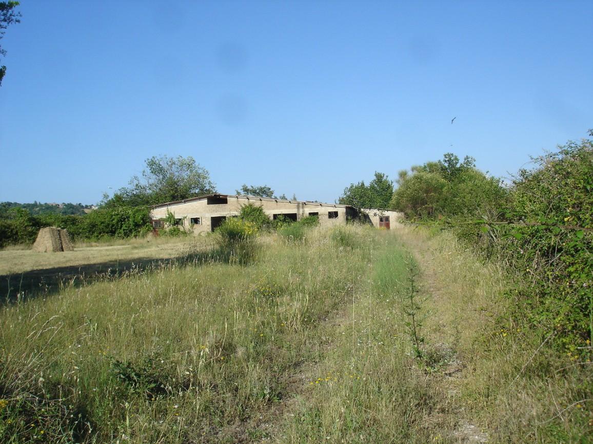 immobile appartamento all'asta in località Nucleo Case Rocchi - 58010 Sorano (GR) - 4